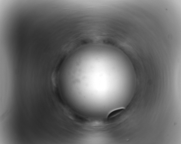 X0000088650768200706011221