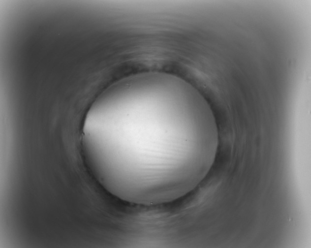 X0000088650769200706011220