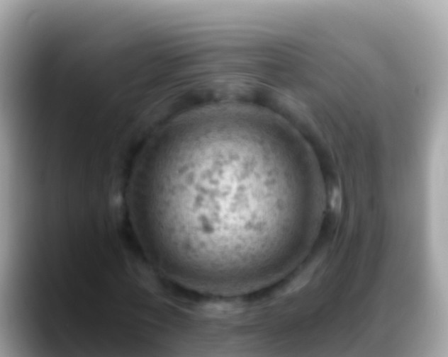 X0000088650771200706011220