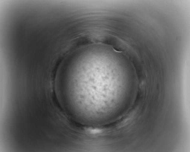 X0000088650772200706011220