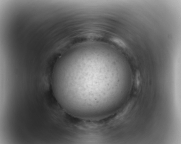 X0000088650774200706011220