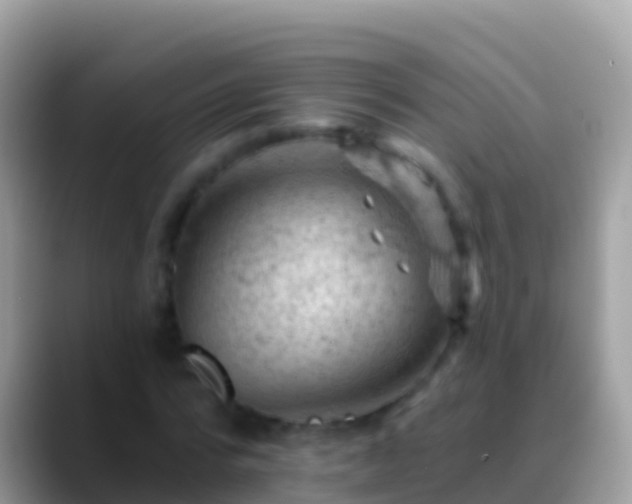 X0000088650776200706011220