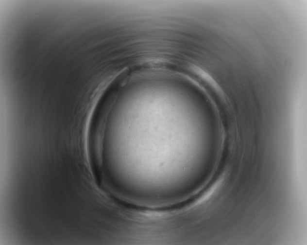 X0000088650777200706011220