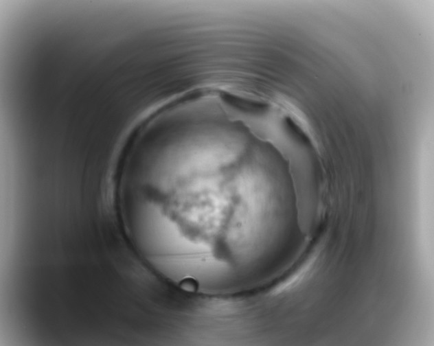 X0000088650779200706011220