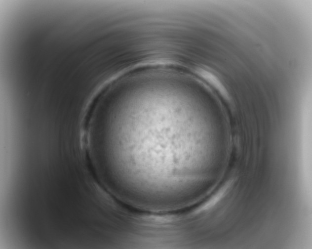 X0000088650781200706011220