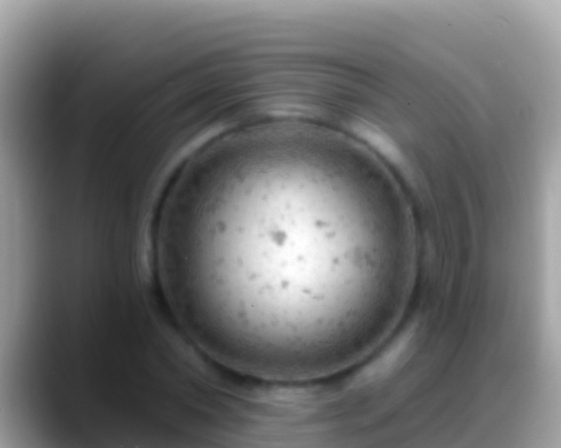 X0000088650782200706011220