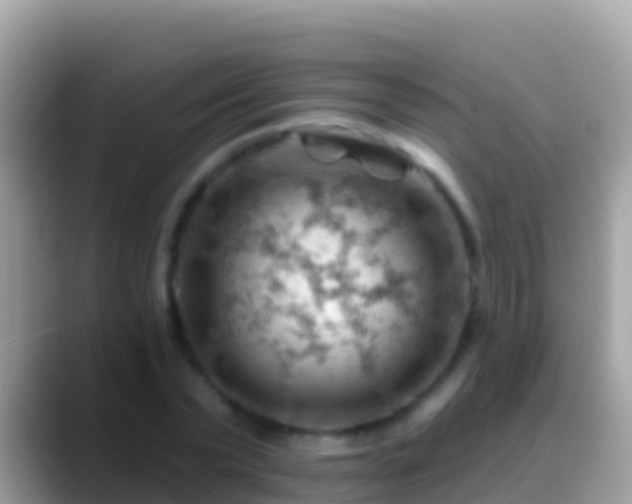 X0000088650783200706011220