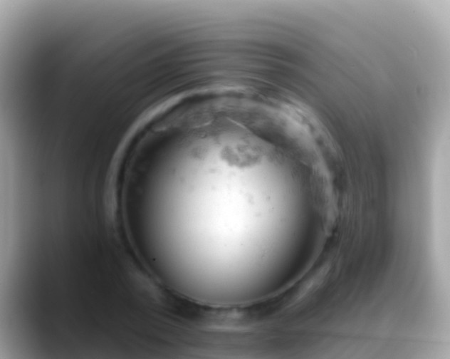 X0000088650784200706011220