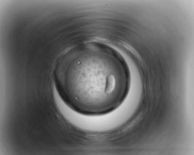 X0000088650785200706011220