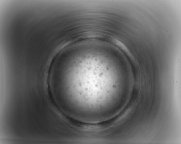 X0000088650786200706011220