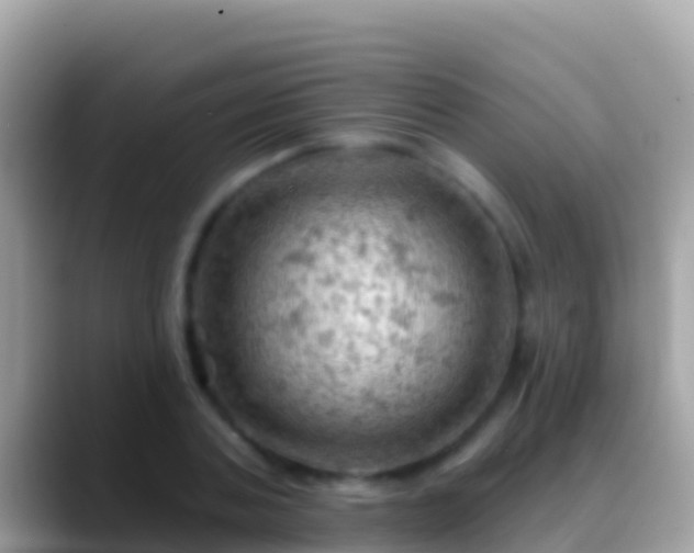 X0000088650787200706011220