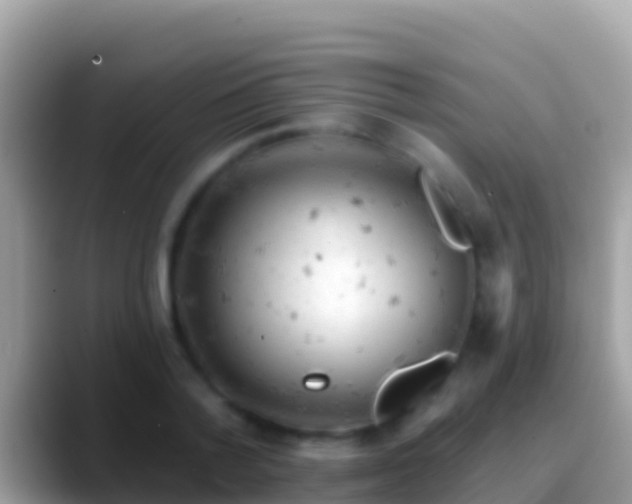 X0000088650788200706011220