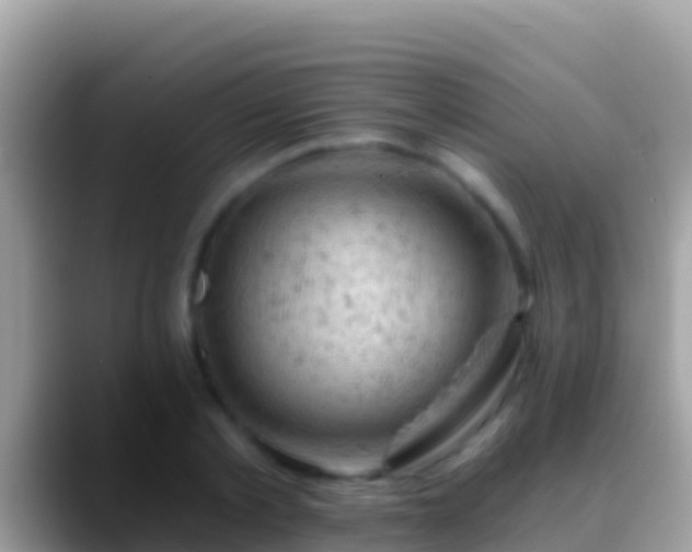 X0000088650789200706011220