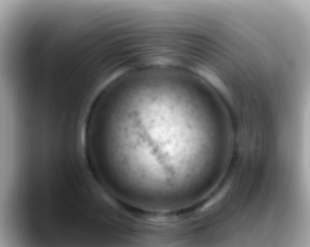 X0000088650790200706011220