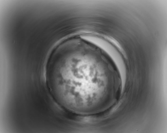 X0000088650791200706011220