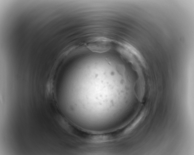 X0000088650793200706011220