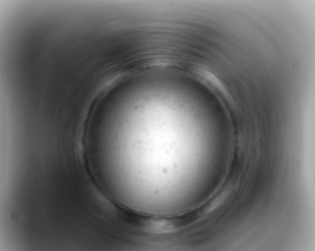 X0000088650794200706011220