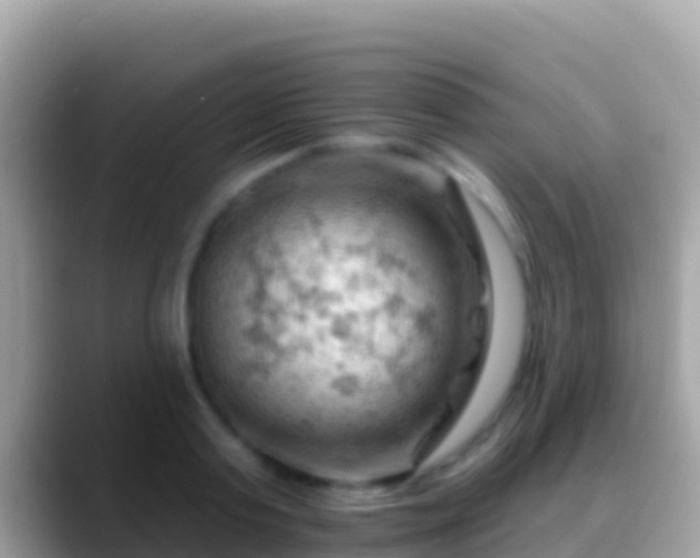 X0000088650795200706011220