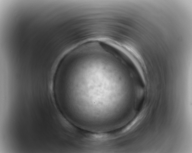 X0000088650797200706011220