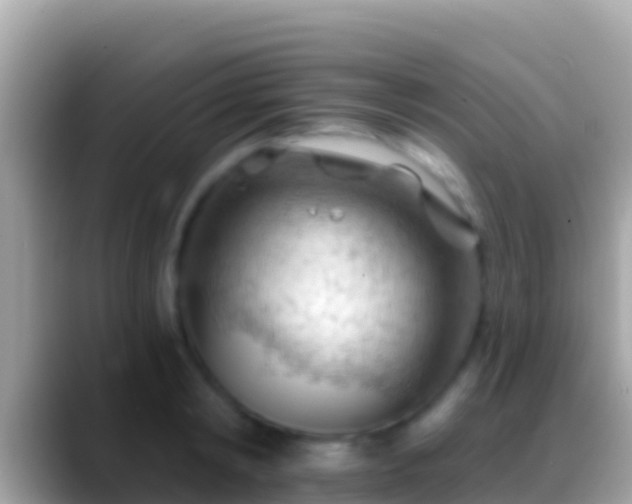 X0000088650798200706011220