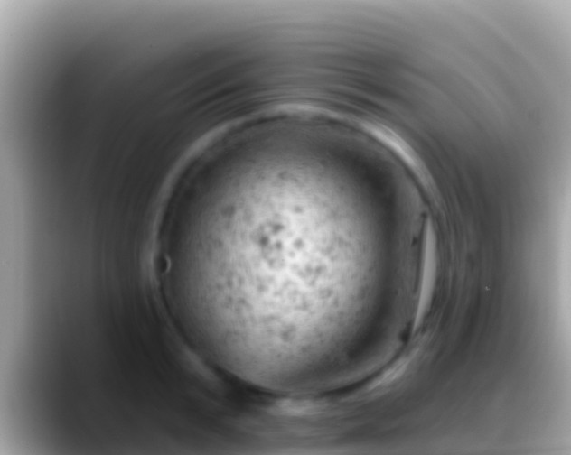 X0000088650799200706011220