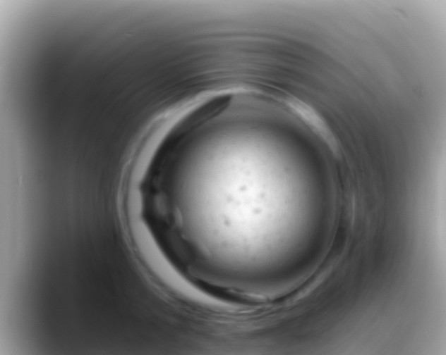 X0000088650805200706011220