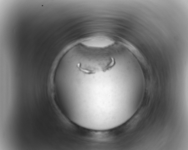 X0000088650808200706011220