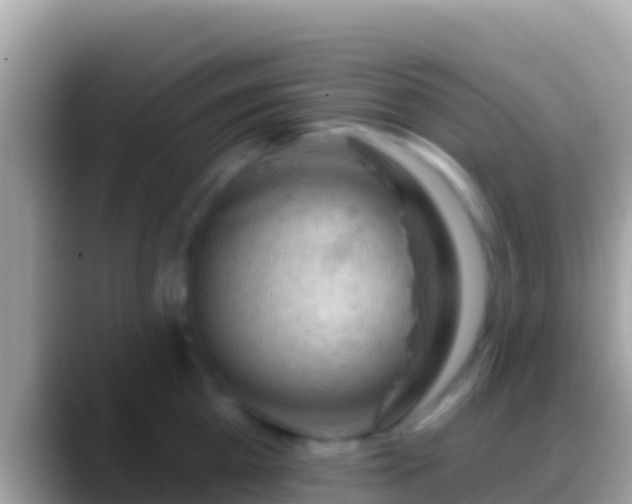 X0000088650809200706011220