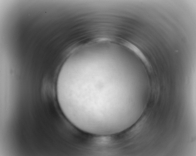 X0000088650810200706011220