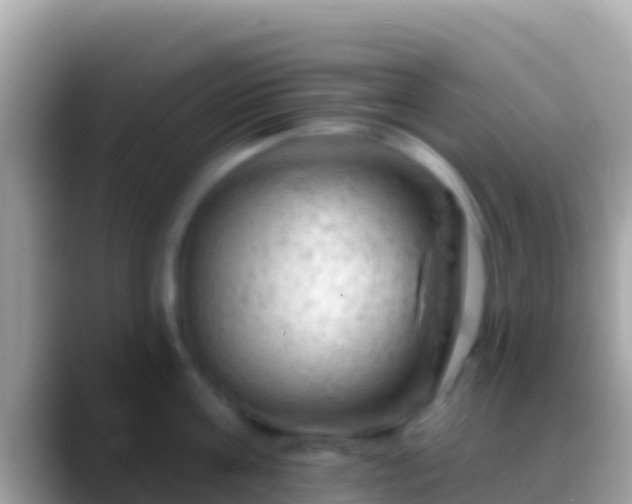 X0000088650811200706011220