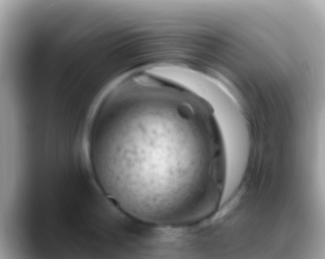 X0000088650812200706011220