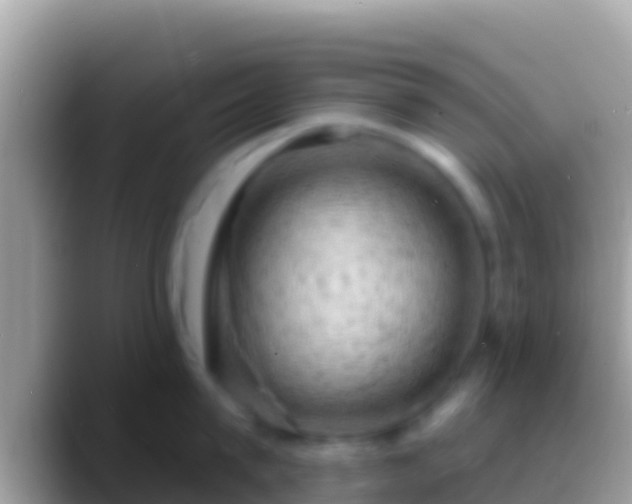 X0000088650815200706011220