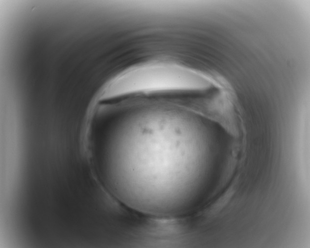 X0000088650816200706011220