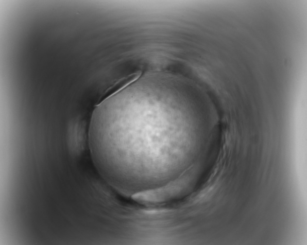 X0000088650818200706011219