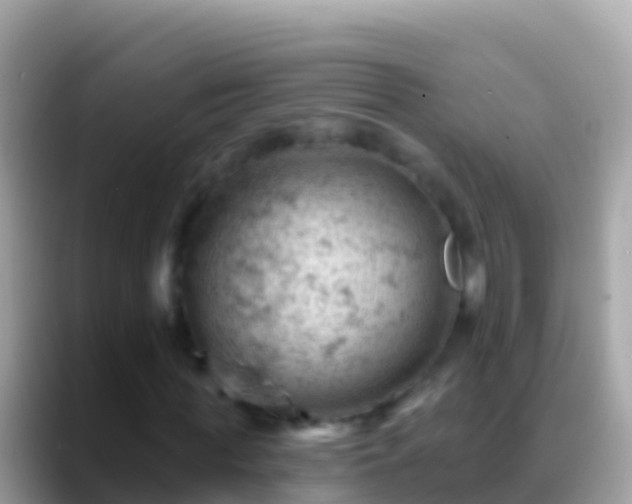 X0000088650819200706011219