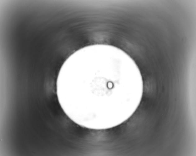 X0000088650820200706011219