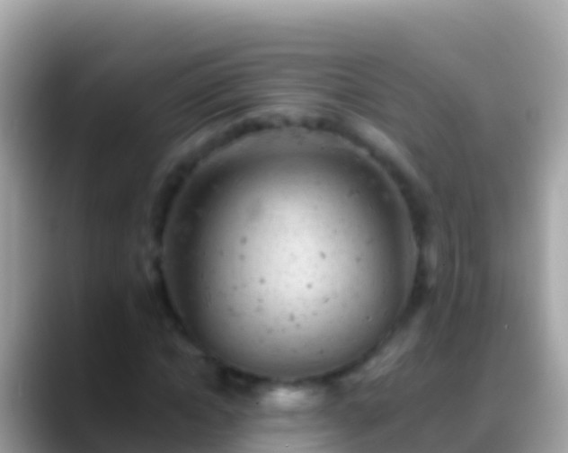 X0000088650822200706011219