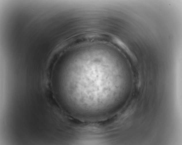X0000088650823200706011219