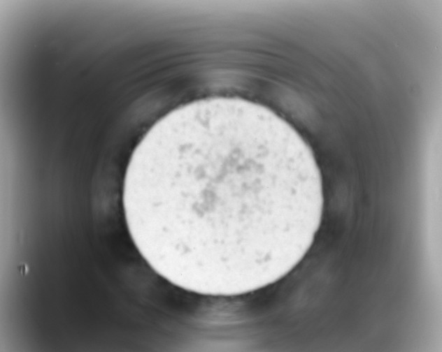 X0000088650824200706011219
