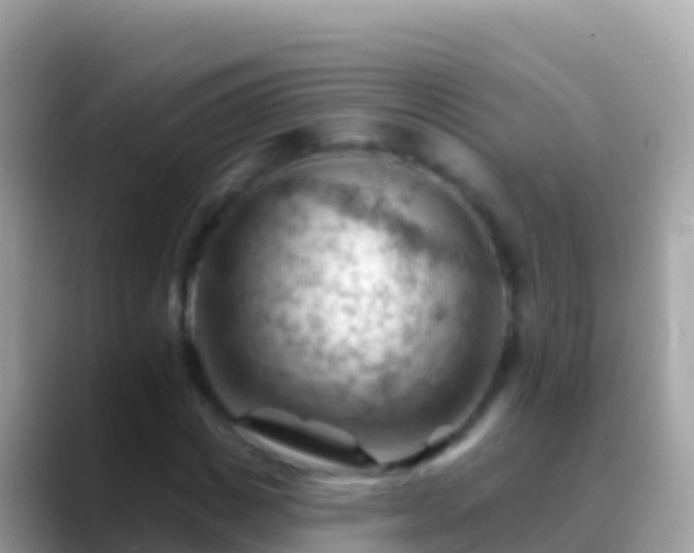 X0000088650825200706011219