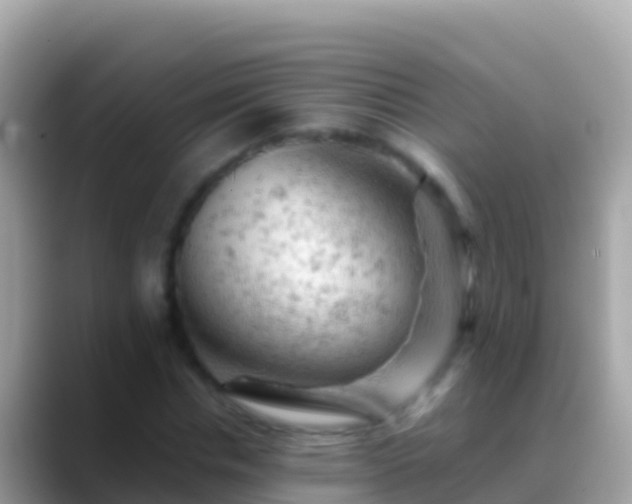 X0000088650826200706011219