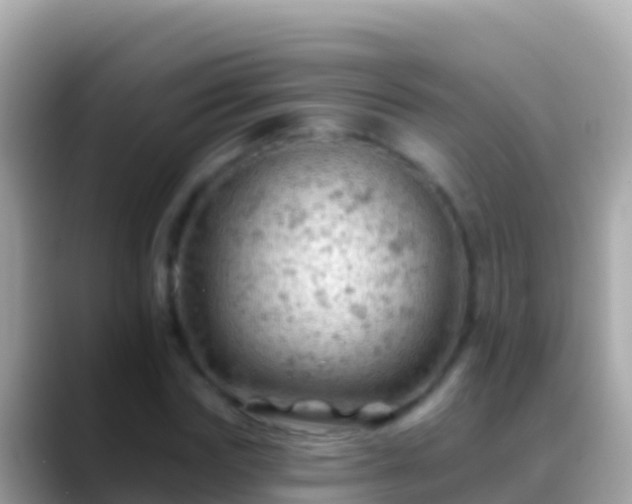 X0000088650827200706011219