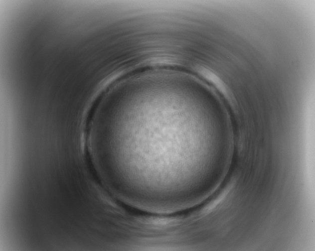 X0000088650829200706011219