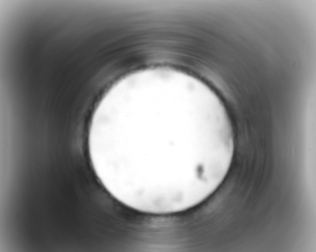 X0000088650832200706011219