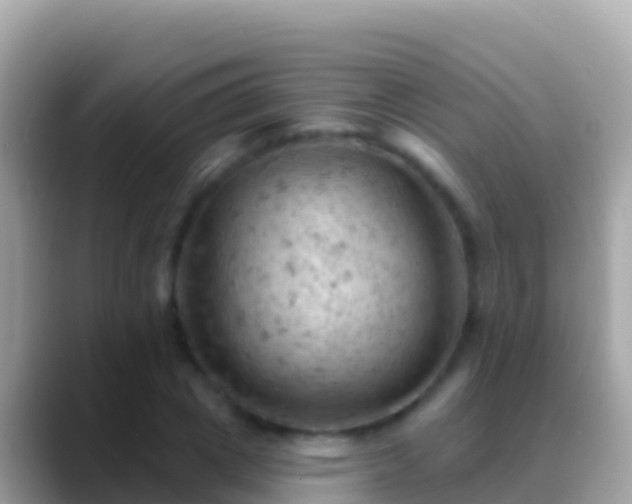 X0000088650833200706011219