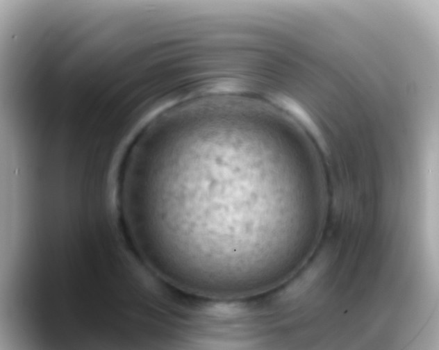 X0000088650835200706011219