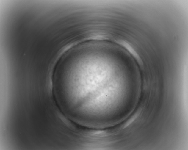 X0000088650837200706011219