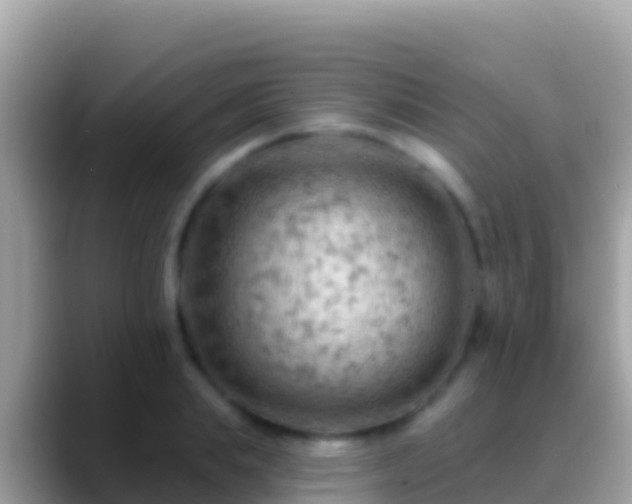 X0000088650839200706011219