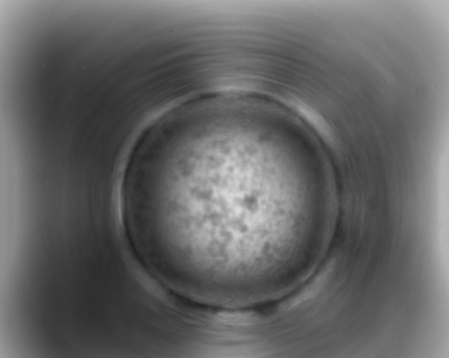 X0000088650840200706011219