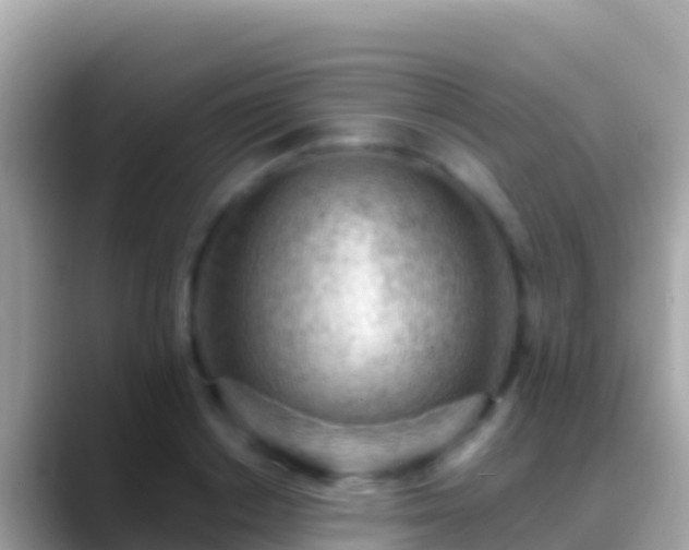 X0000088650842200706011219